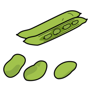 Chaucha
