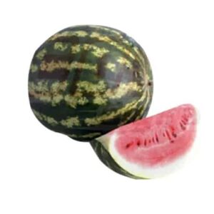 Sandia